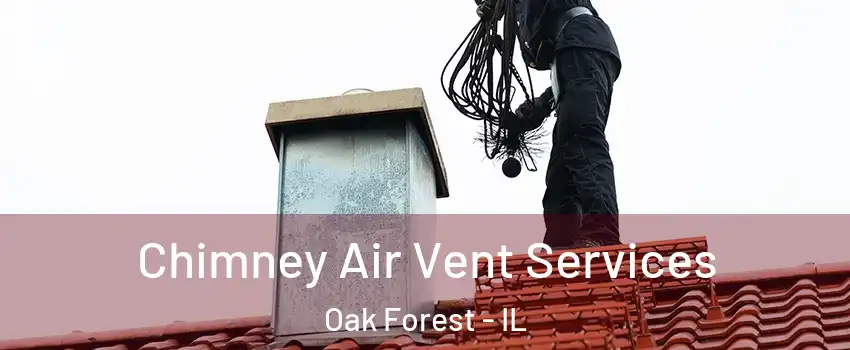  Chimney Air Vent Services Oak Forest - IL