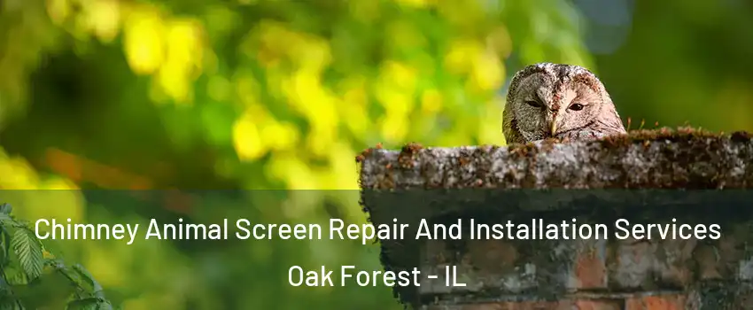  Chimney Animal Screen Repair And Installation Services Oak Forest - IL