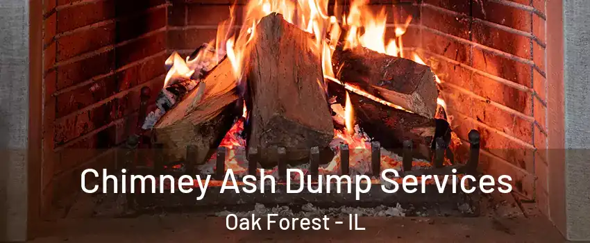  Chimney Ash Dump Services Oak Forest - IL