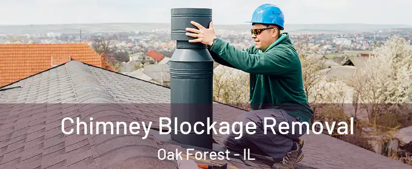  Chimney Blockage Removal Oak Forest - IL