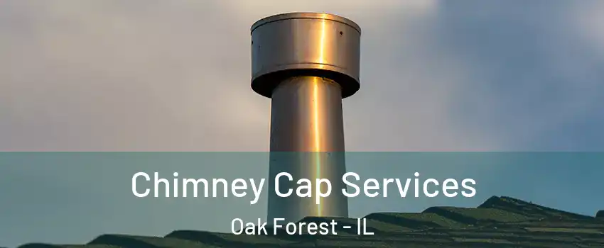 Chimney Cap Services Oak Forest - IL