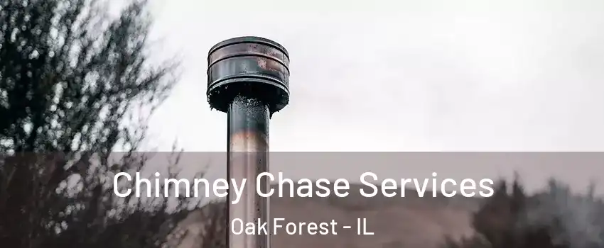  Chimney Chase Services Oak Forest - IL