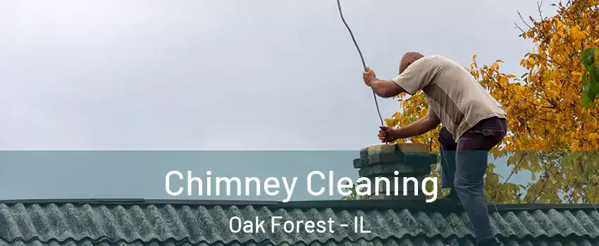  Chimney Cleaning Oak Forest - IL