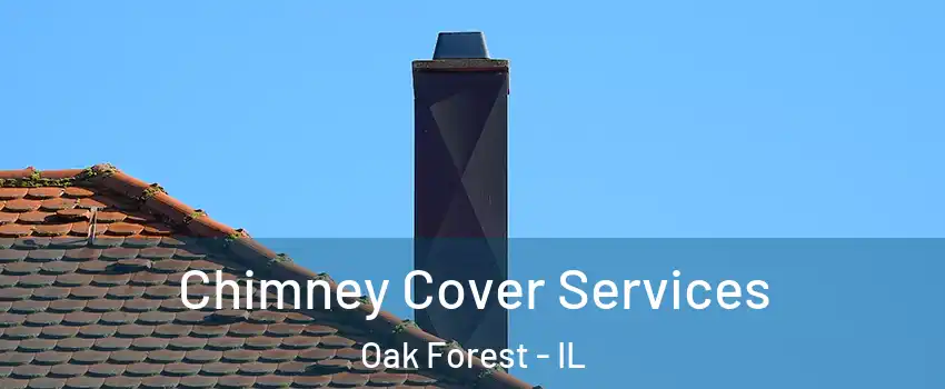  Chimney Cover Services Oak Forest - IL