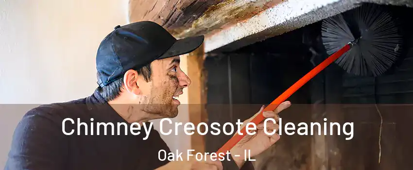  Chimney Creosote Cleaning Oak Forest - IL