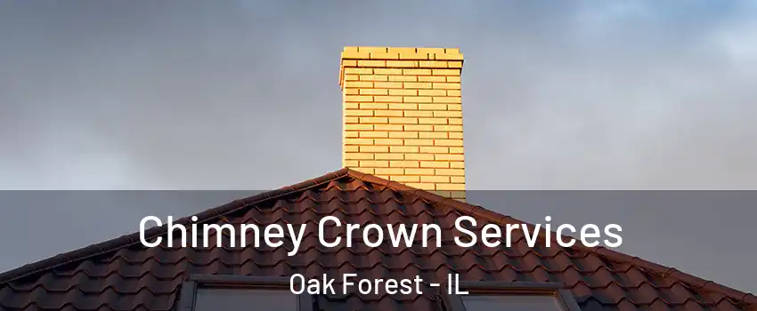 Chimney Crown Services Oak Forest - IL