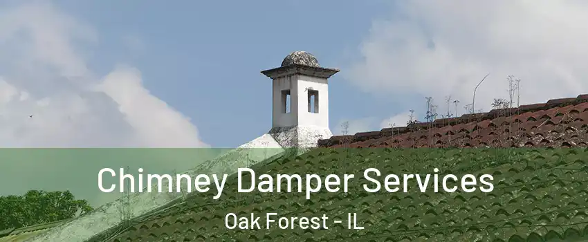  Chimney Damper Services Oak Forest - IL