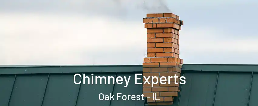  Chimney Experts Oak Forest - IL