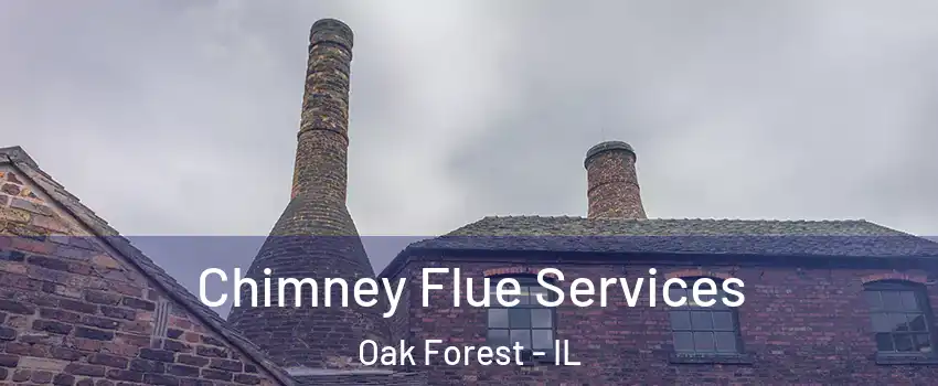  Chimney Flue Services Oak Forest - IL