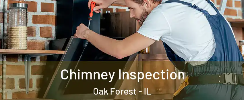  Chimney Inspection Oak Forest - IL