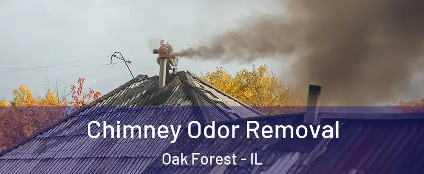  Chimney Odor Removal Oak Forest - IL