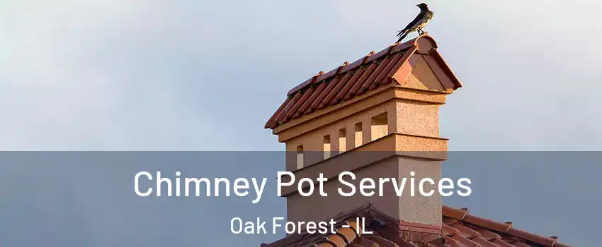  Chimney Pot Services Oak Forest - IL