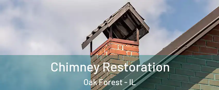  Chimney Restoration Oak Forest - IL