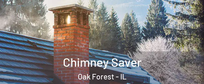  Chimney Saver Oak Forest - IL