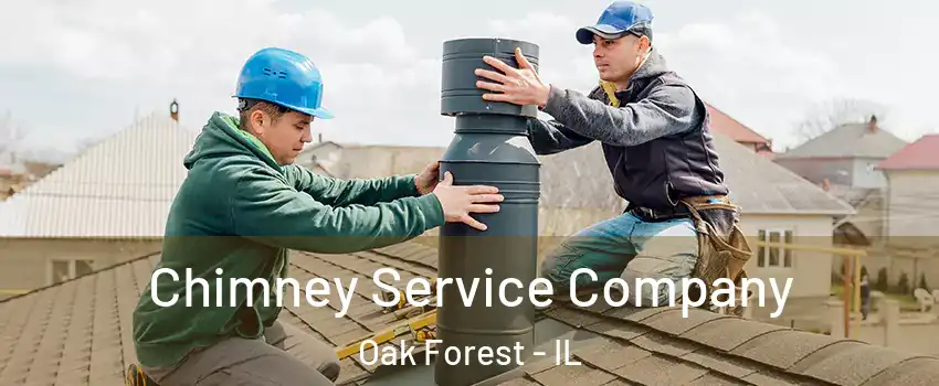  Chimney Service Company Oak Forest - IL