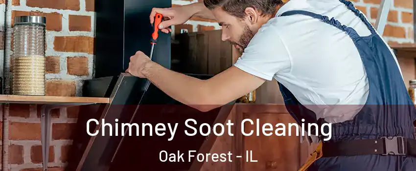  Chimney Soot Cleaning Oak Forest - IL