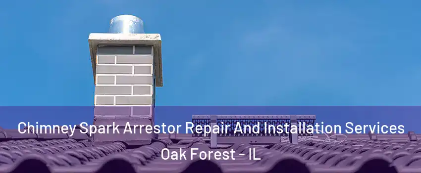  Chimney Spark Arrestor Repair And Installation Services Oak Forest - IL