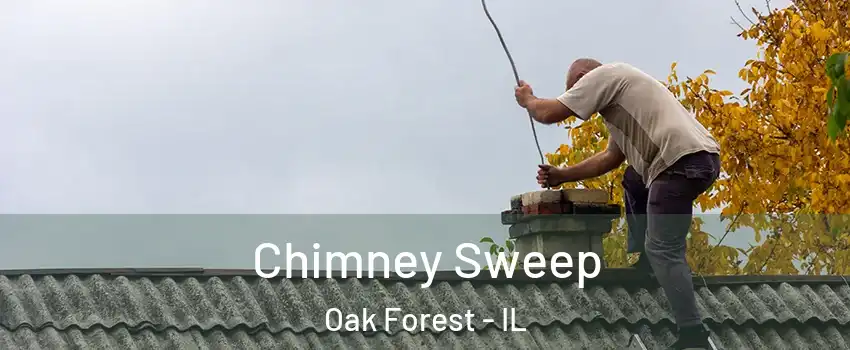  Chimney Sweep Oak Forest - IL