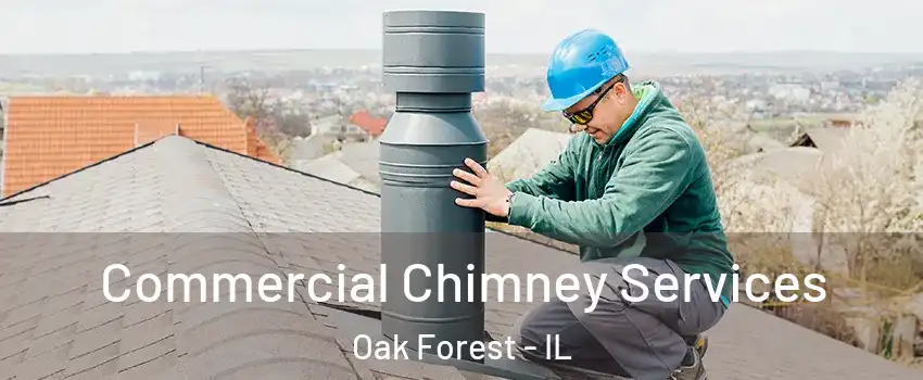  Commercial Chimney Services Oak Forest - IL