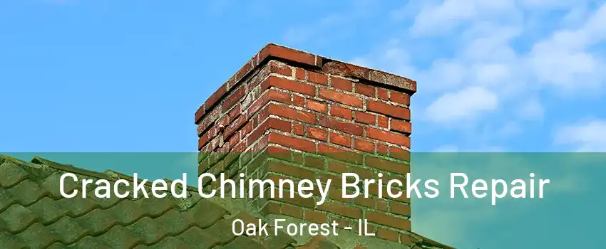  Cracked Chimney Bricks Repair Oak Forest - IL