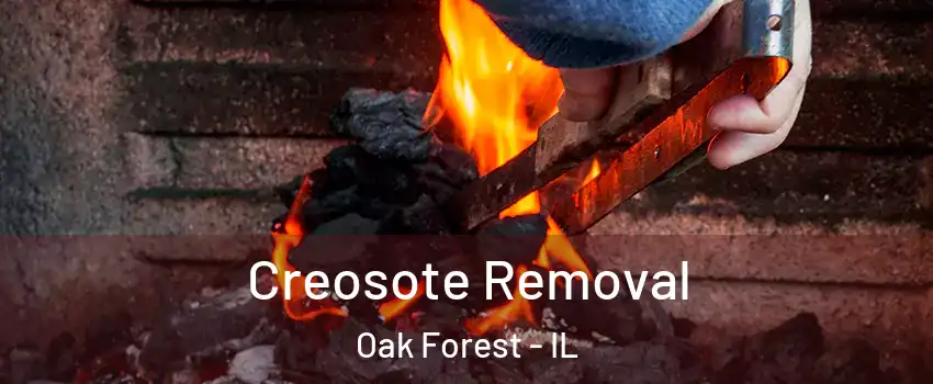  Creosote Removal Oak Forest - IL