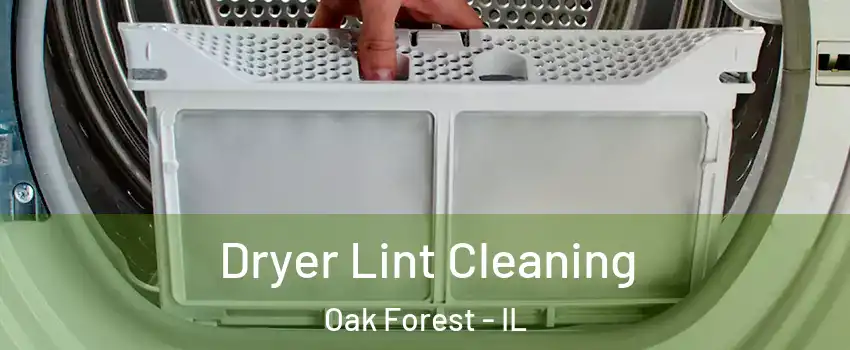  Dryer Lint Cleaning Oak Forest - IL