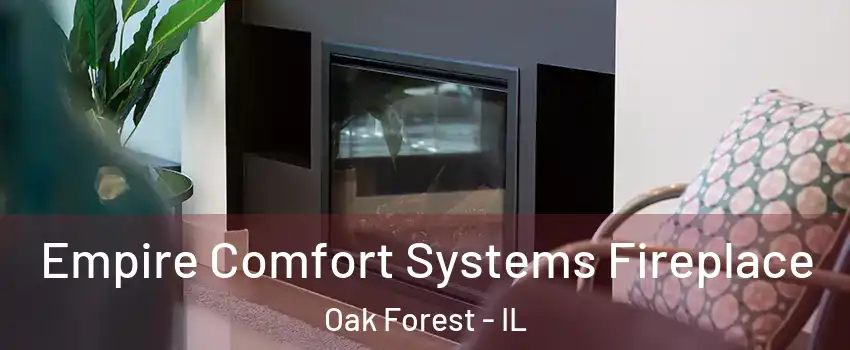  Empire Comfort Systems Fireplace Oak Forest - IL