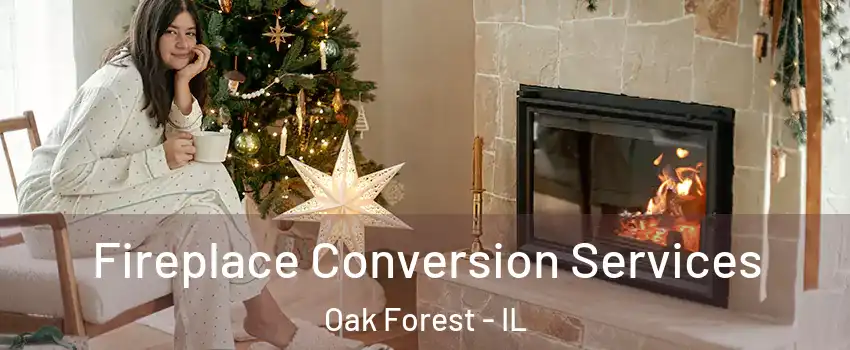  Fireplace Conversion Services Oak Forest - IL