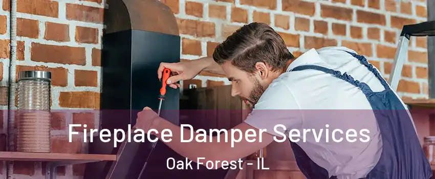  Fireplace Damper Services Oak Forest - IL