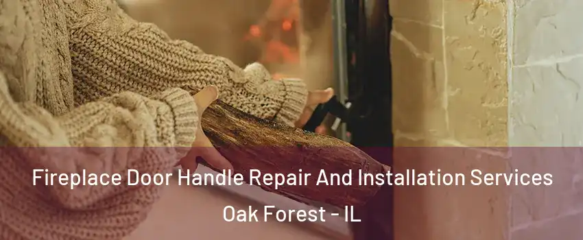  Fireplace Door Handle Repair And Installation Services Oak Forest - IL