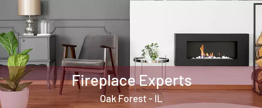  Fireplace Experts Oak Forest - IL