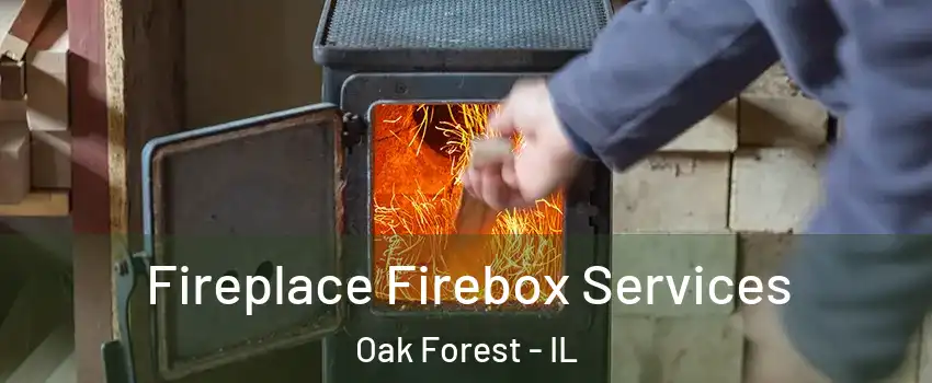  Fireplace Firebox Services Oak Forest - IL