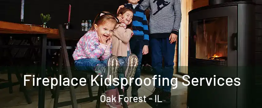 Fireplace Kidsproofing Services Oak Forest - IL