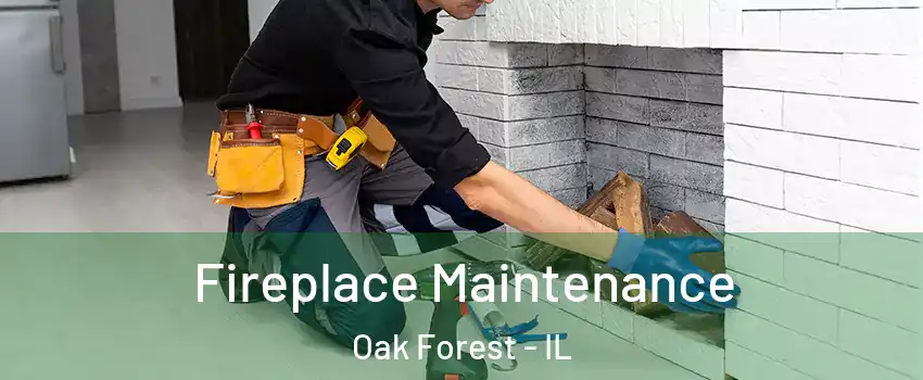  Fireplace Maintenance Oak Forest - IL