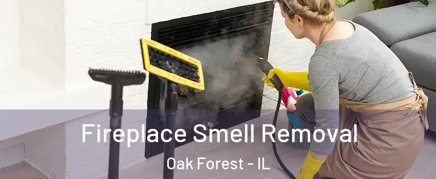  Fireplace Smell Removal Oak Forest - IL
