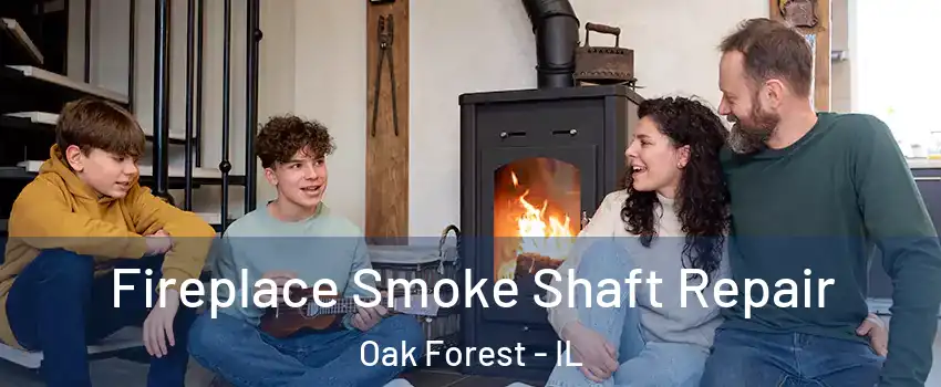  Fireplace Smoke Shaft Repair Oak Forest - IL