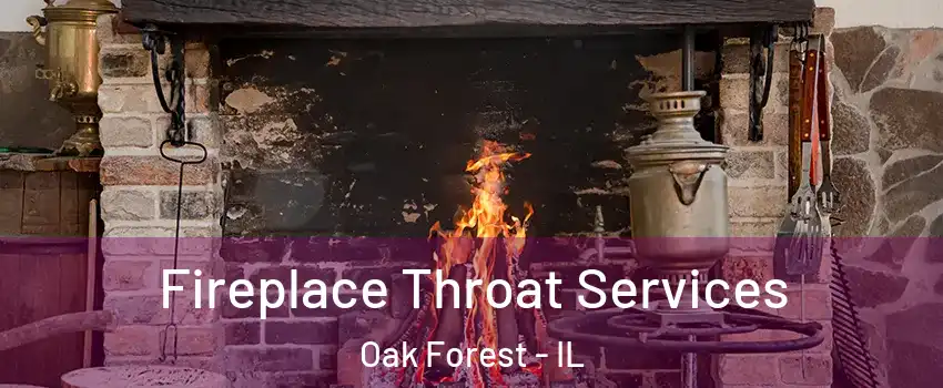  Fireplace Throat Services Oak Forest - IL