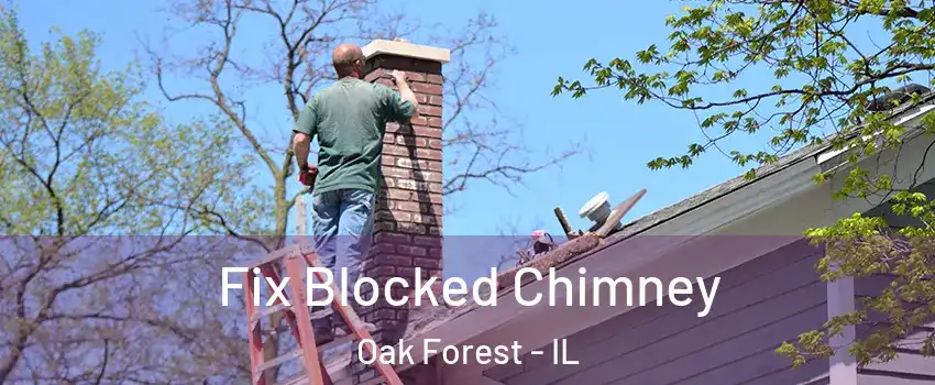  Fix Blocked Chimney Oak Forest - IL