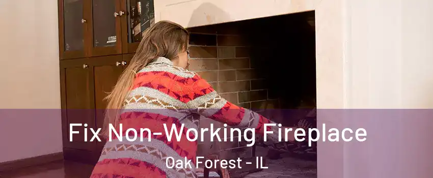  Fix Non-Working Fireplace Oak Forest - IL