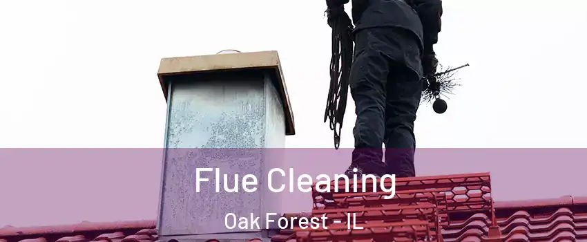  Flue Cleaning Oak Forest - IL