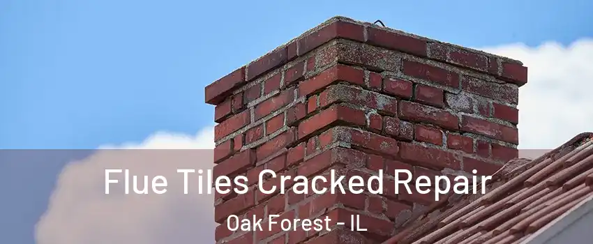  Flue Tiles Cracked Repair Oak Forest - IL