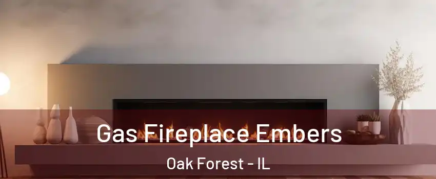  Gas Fireplace Embers Oak Forest - IL