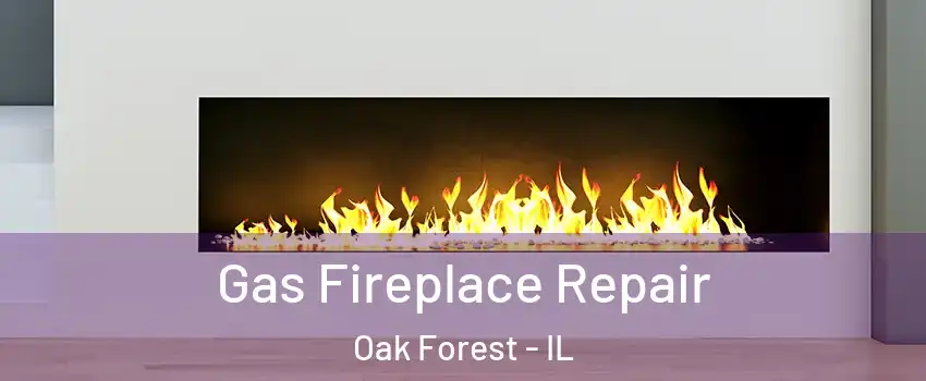  Gas Fireplace Repair Oak Forest - IL