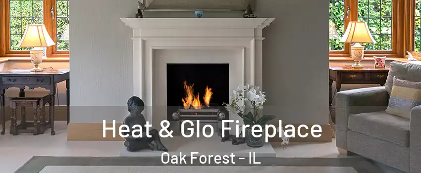  Heat & Glo Fireplace Oak Forest - IL