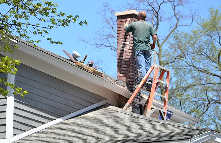 Chimney & Fireplace Inspections Services in Oak Forest, IL