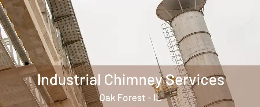  Industrial Chimney Services Oak Forest - IL