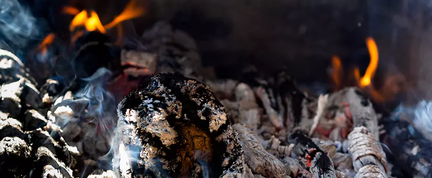 Creosote Removal Experts in Oak Forest, IL