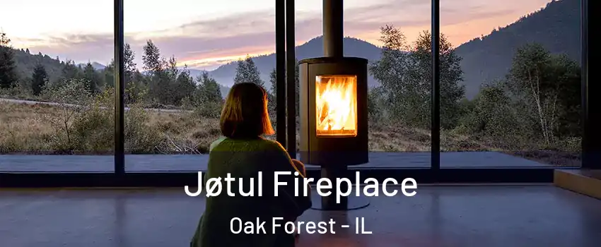  Jøtul Fireplace Oak Forest - IL