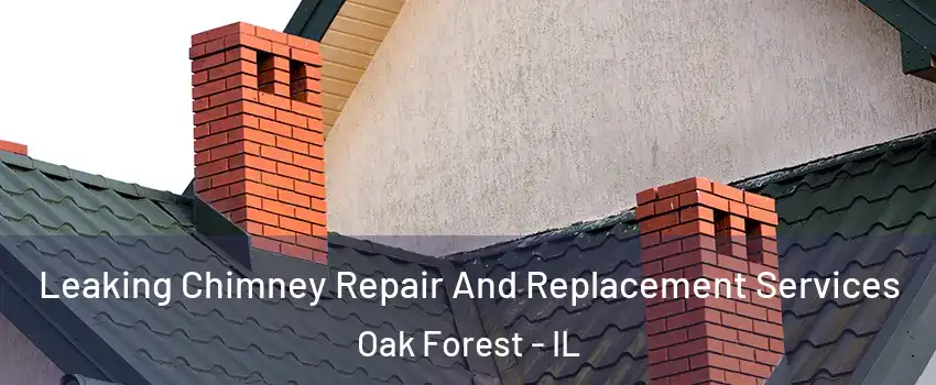  Leaking Chimney Repair And Replacement Services Oak Forest - IL