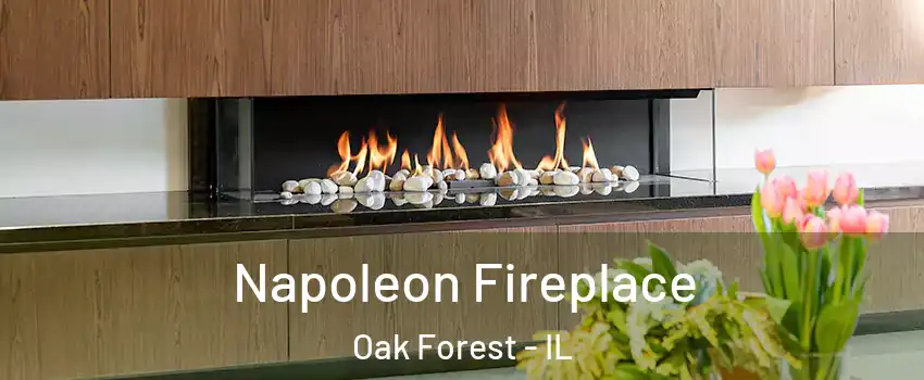  Napoleon Fireplace Oak Forest - IL